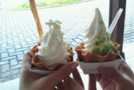 道の駅とわだ とわだぴあ
