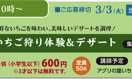 いちご狩り体験＆デザートを楽しめる企画★