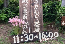 のんび〜り、ほっこり！めいとさつきの家みたい