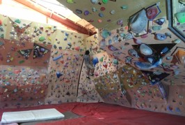子どものいろんな、運動能力発見するかも？　クライミングとボルダリングにチャレンジしました。