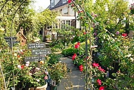 6/25,26 季節館ばらとハンドメイドまつり